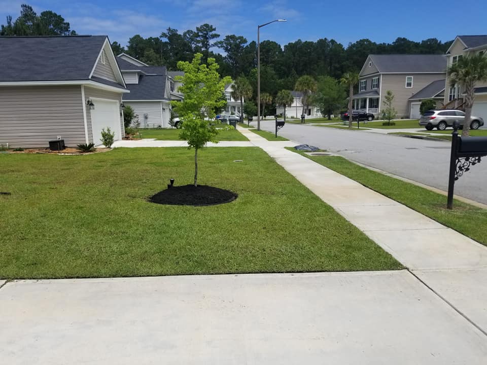 Landscaping Project 1