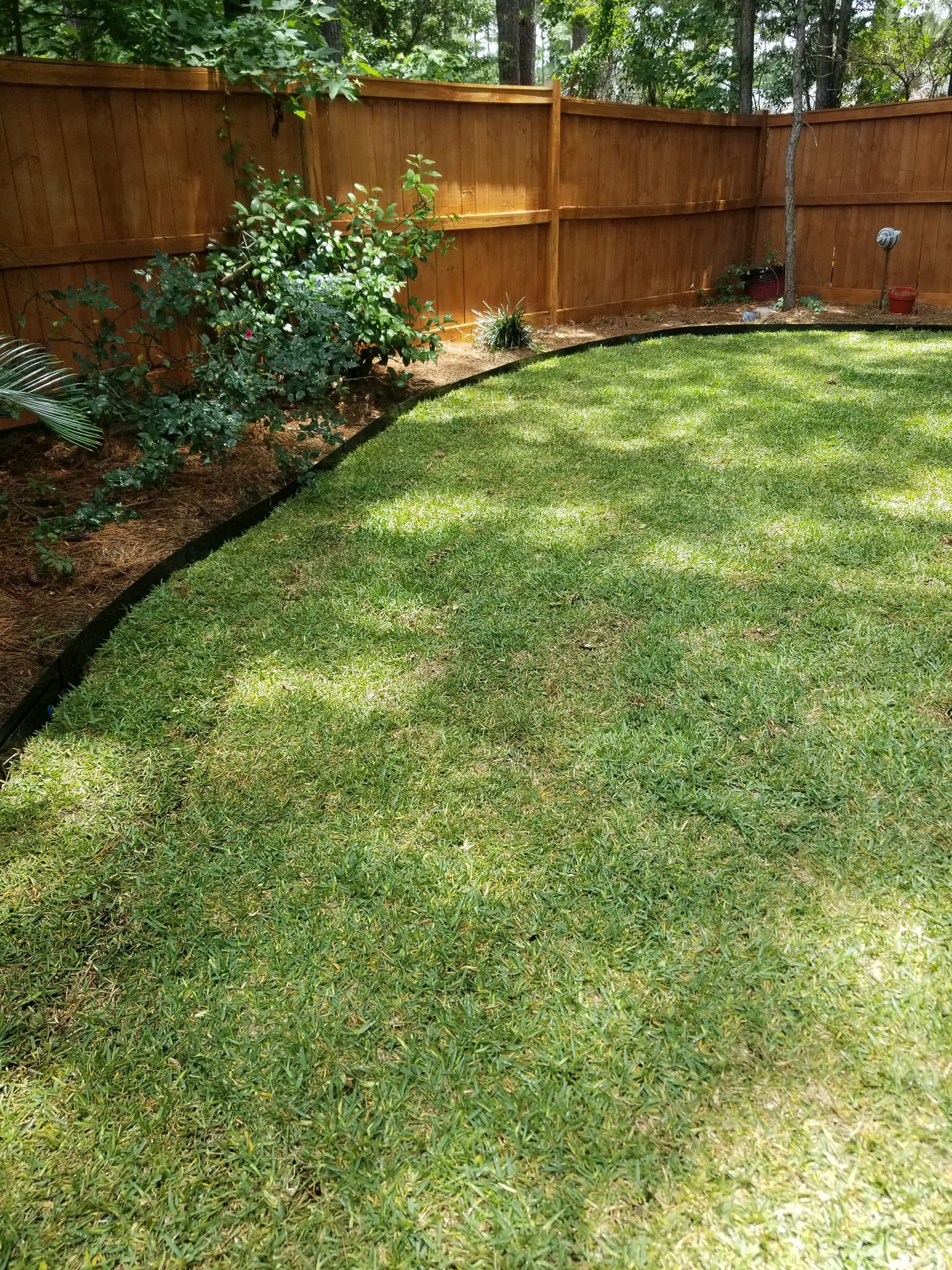 Landscaping Project 2